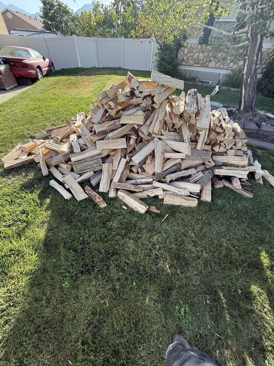 Seasoned Firewood - Mixed Hardwood for Fireplace, Wood Stove, or Campfire