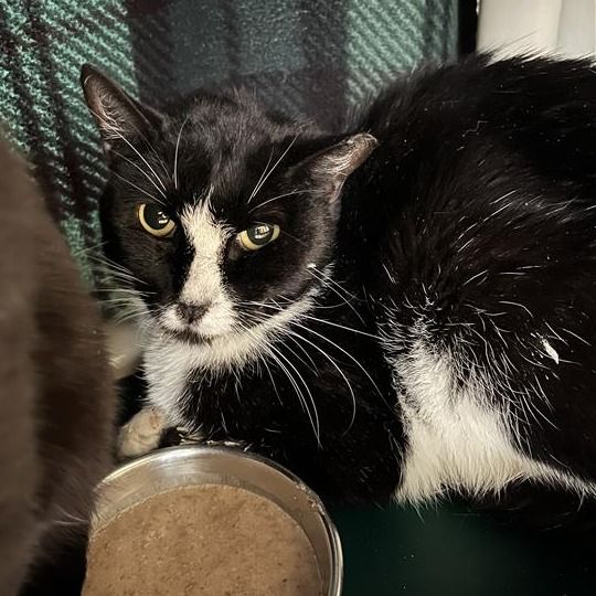 Hello my name is Pauline