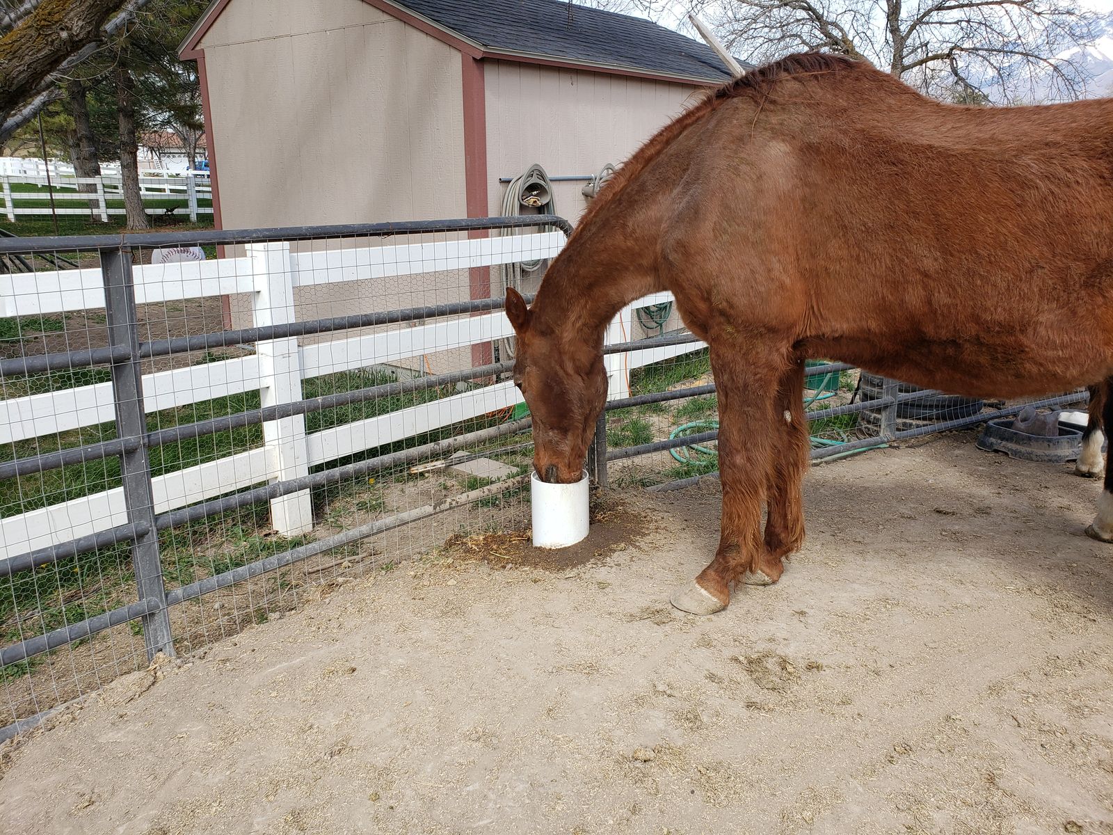 Horse Boarding - Riverton, Utah