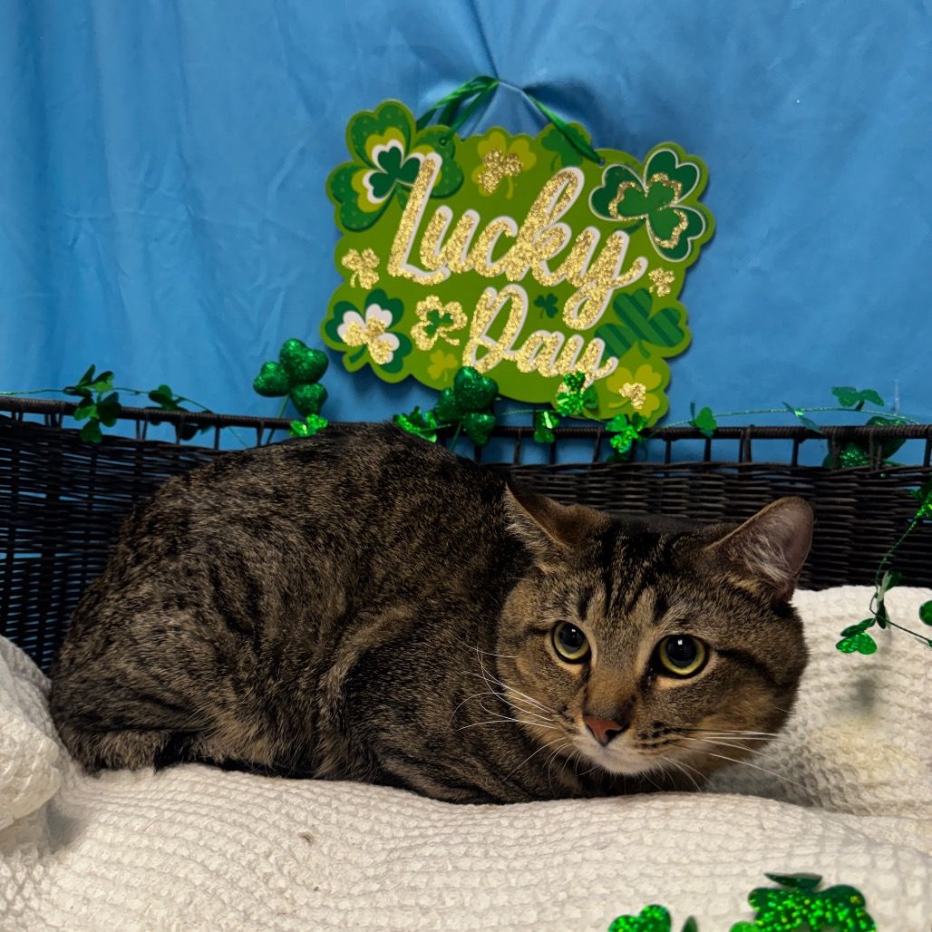 Hello my name is Roxas