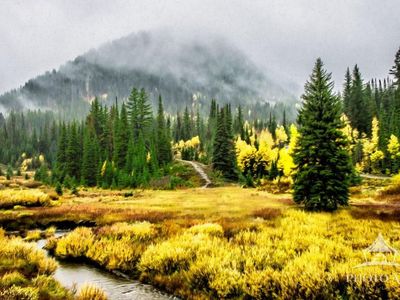 Foggy Moment Photo Art Print