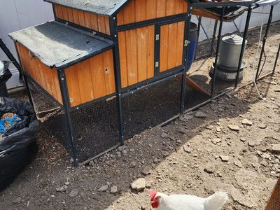 Chicken Coop