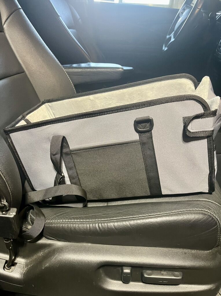 dog car seat