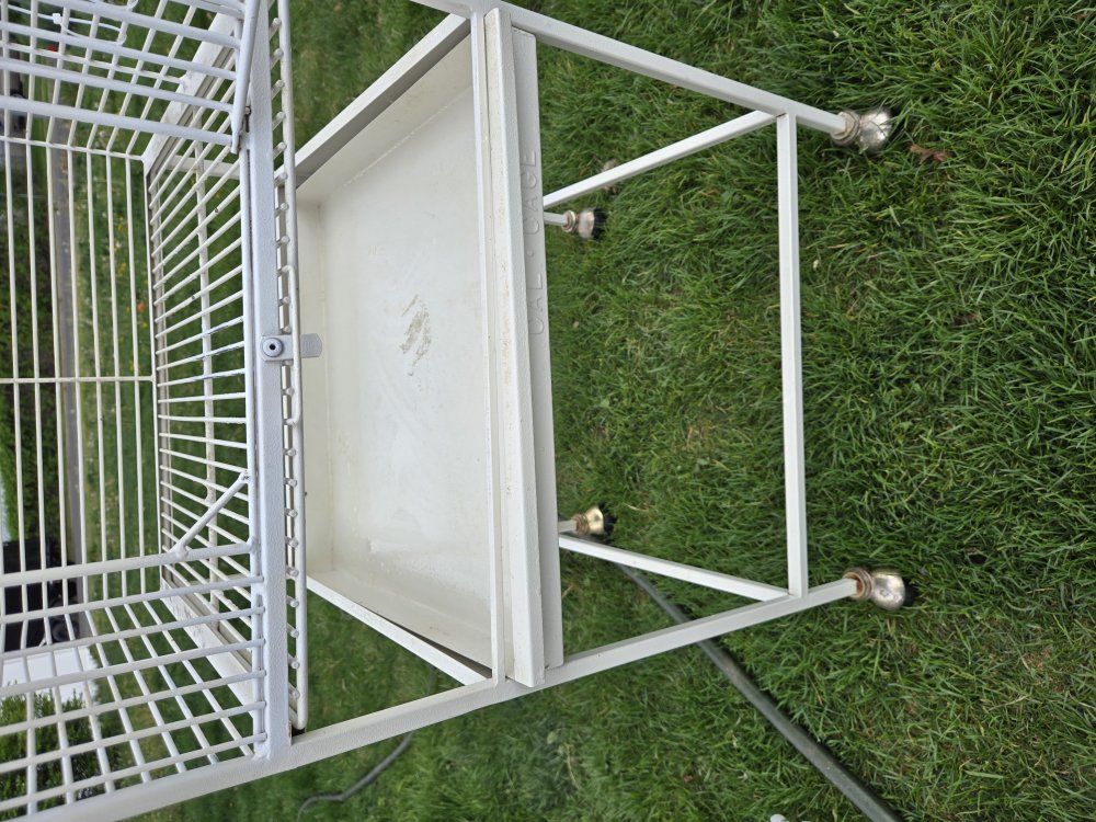 bird cage