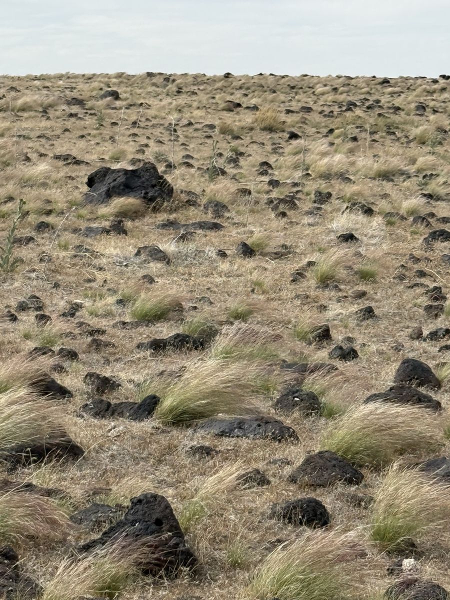 Main image 5