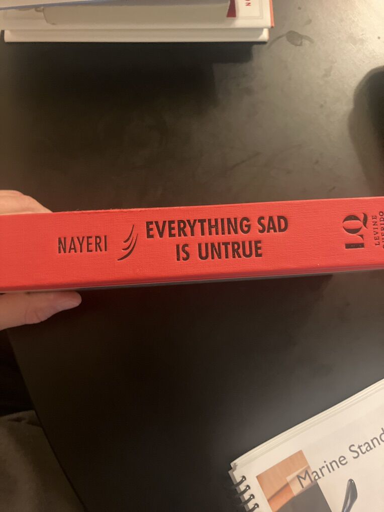 Everything Is Sad And Untrue Book