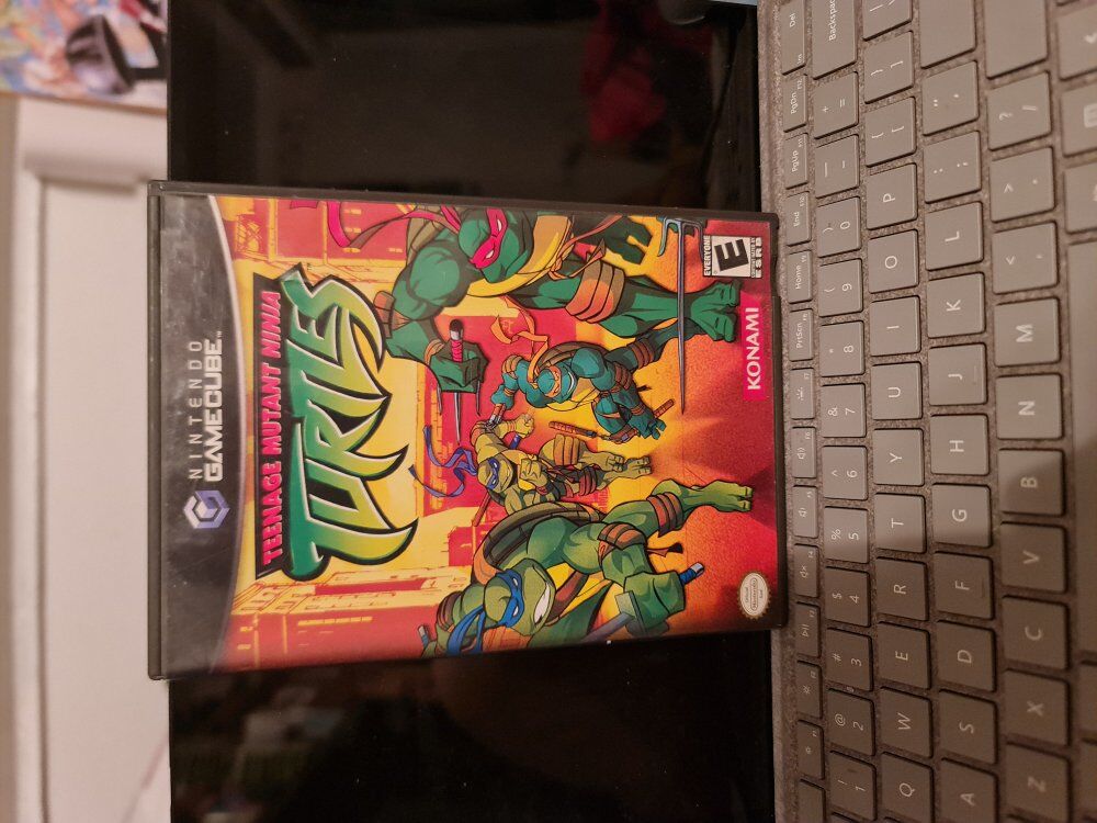 teenage mutant ninja turtles