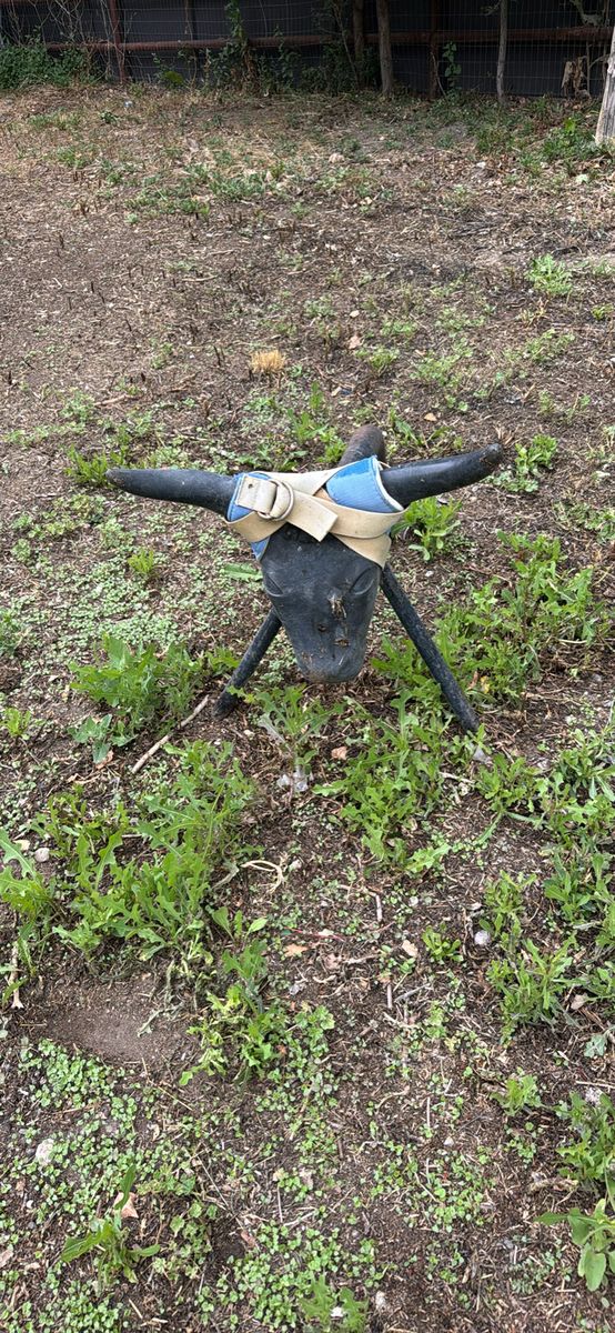 Metal roping steers