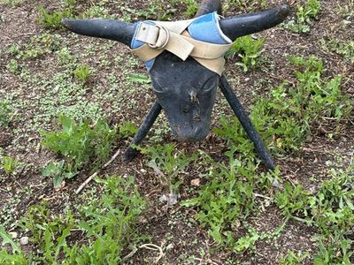 Metal roping steers