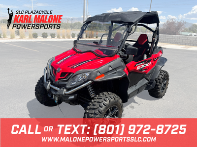 2019 CFMOTO ZFORCE 1000 - UC00307