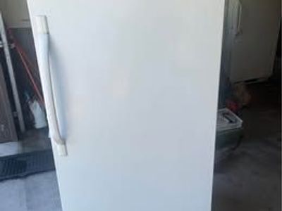 Standing Freezer
