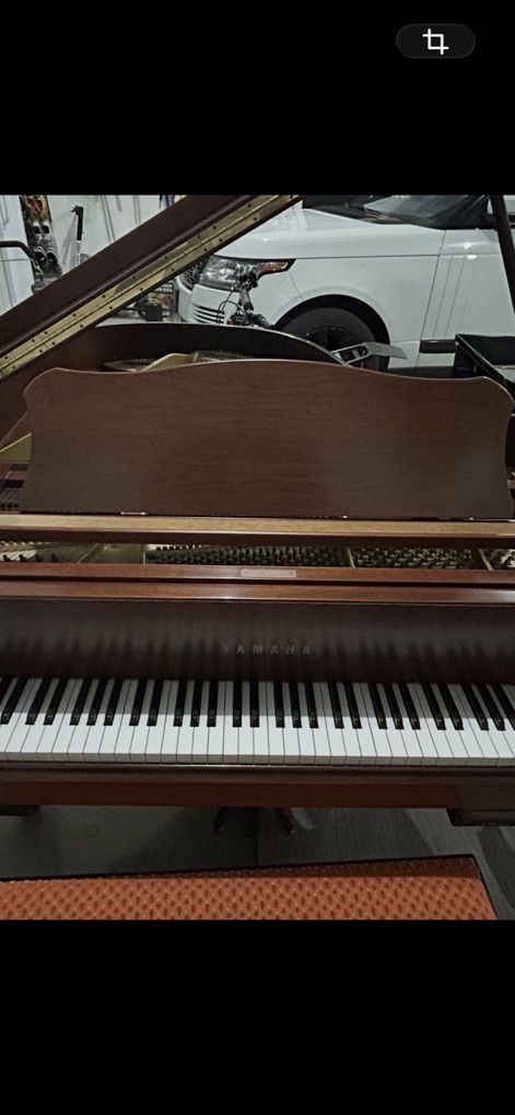 Satin Walnut Yamaha W/Player System Free Delivery