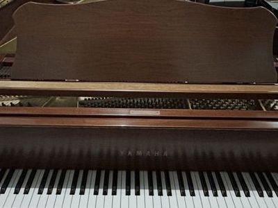Satin Walnut Yamaha W/Player System Free Delivery