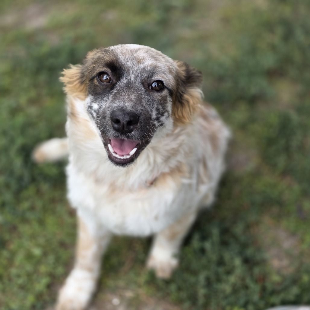 Hello my name is Violet
