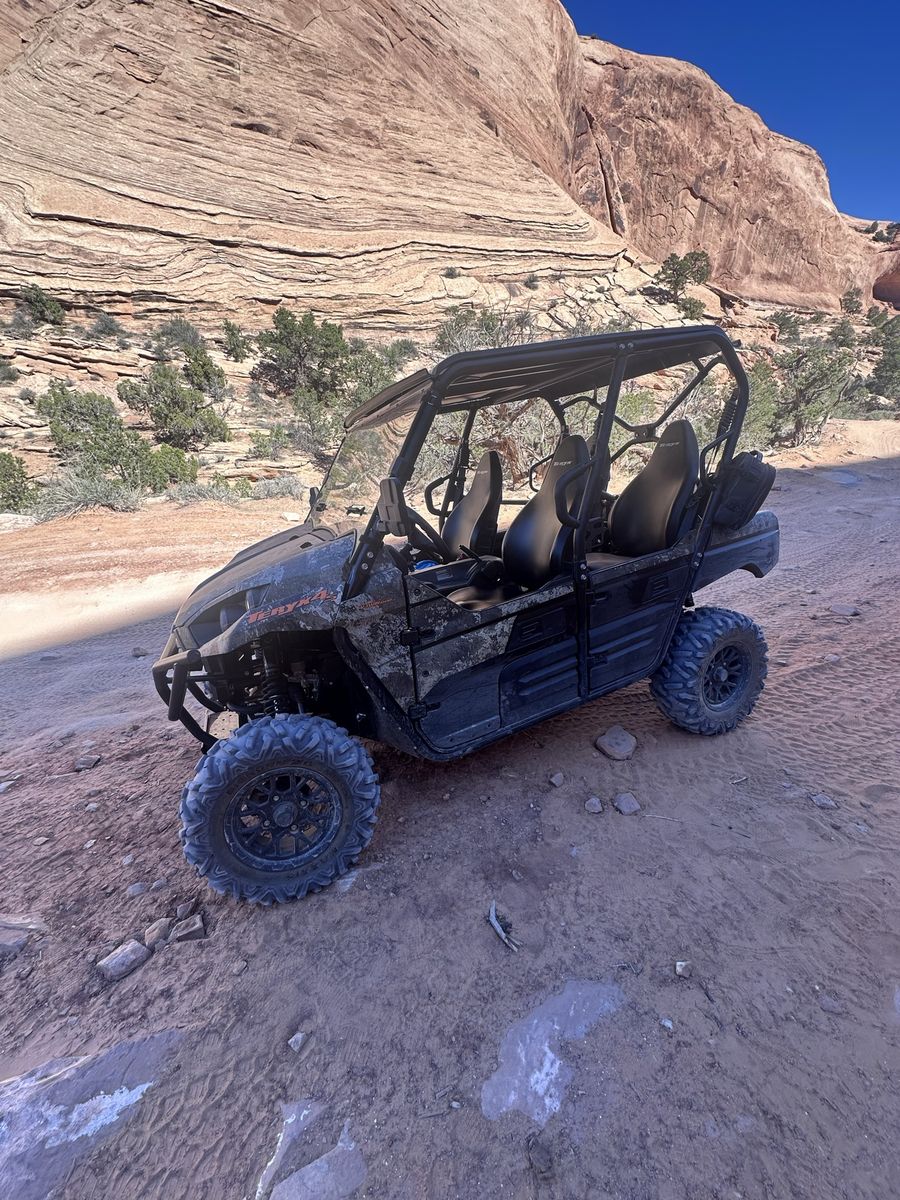 2025 Kawasaki teryx 4 800