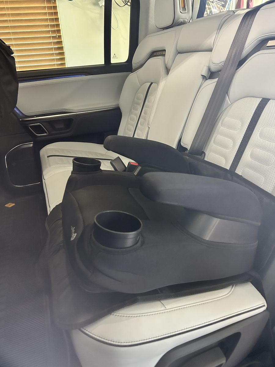 Booster Seat And Seat Protector