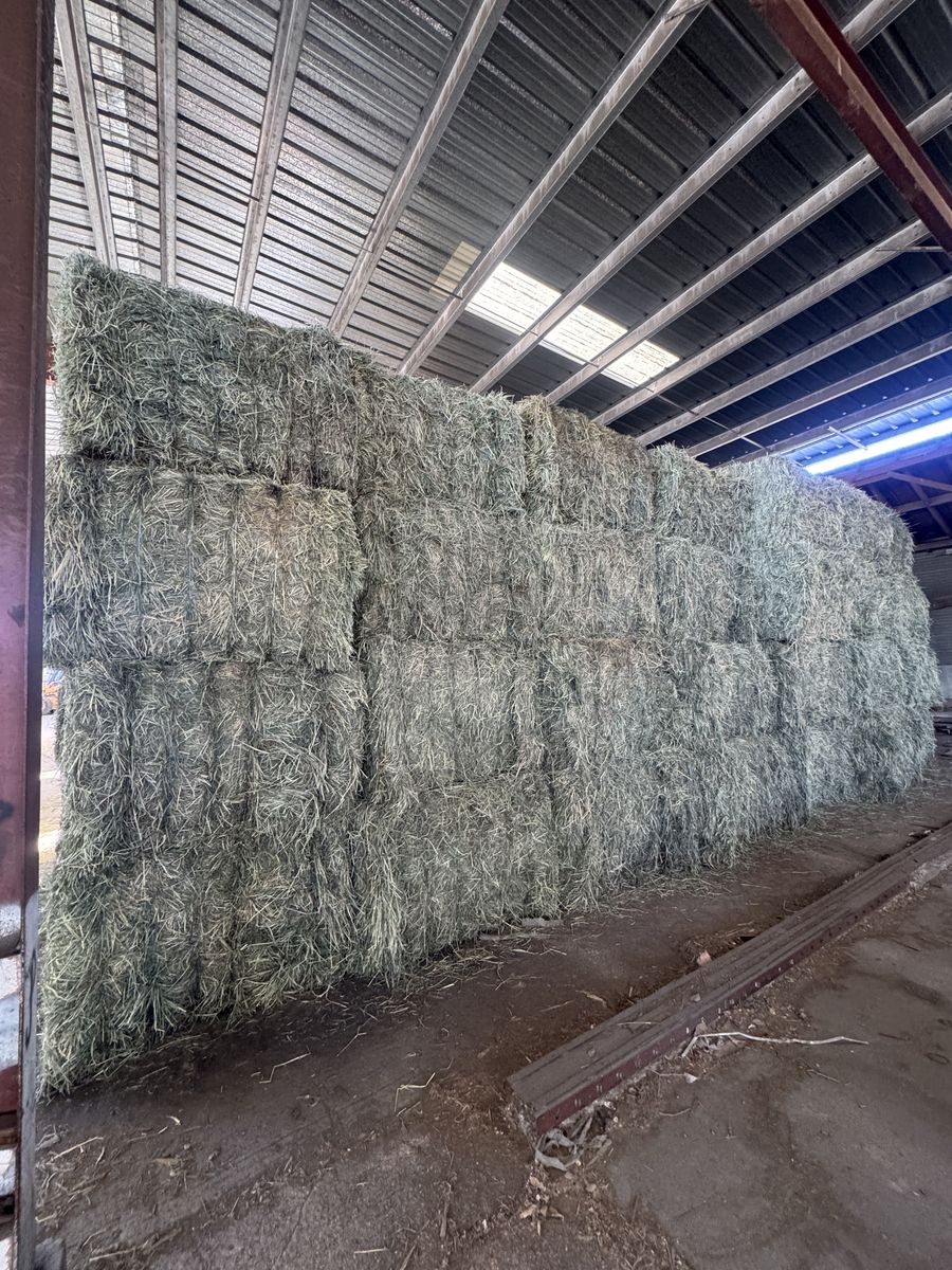 3x4 premium Timothy grass hay bales
