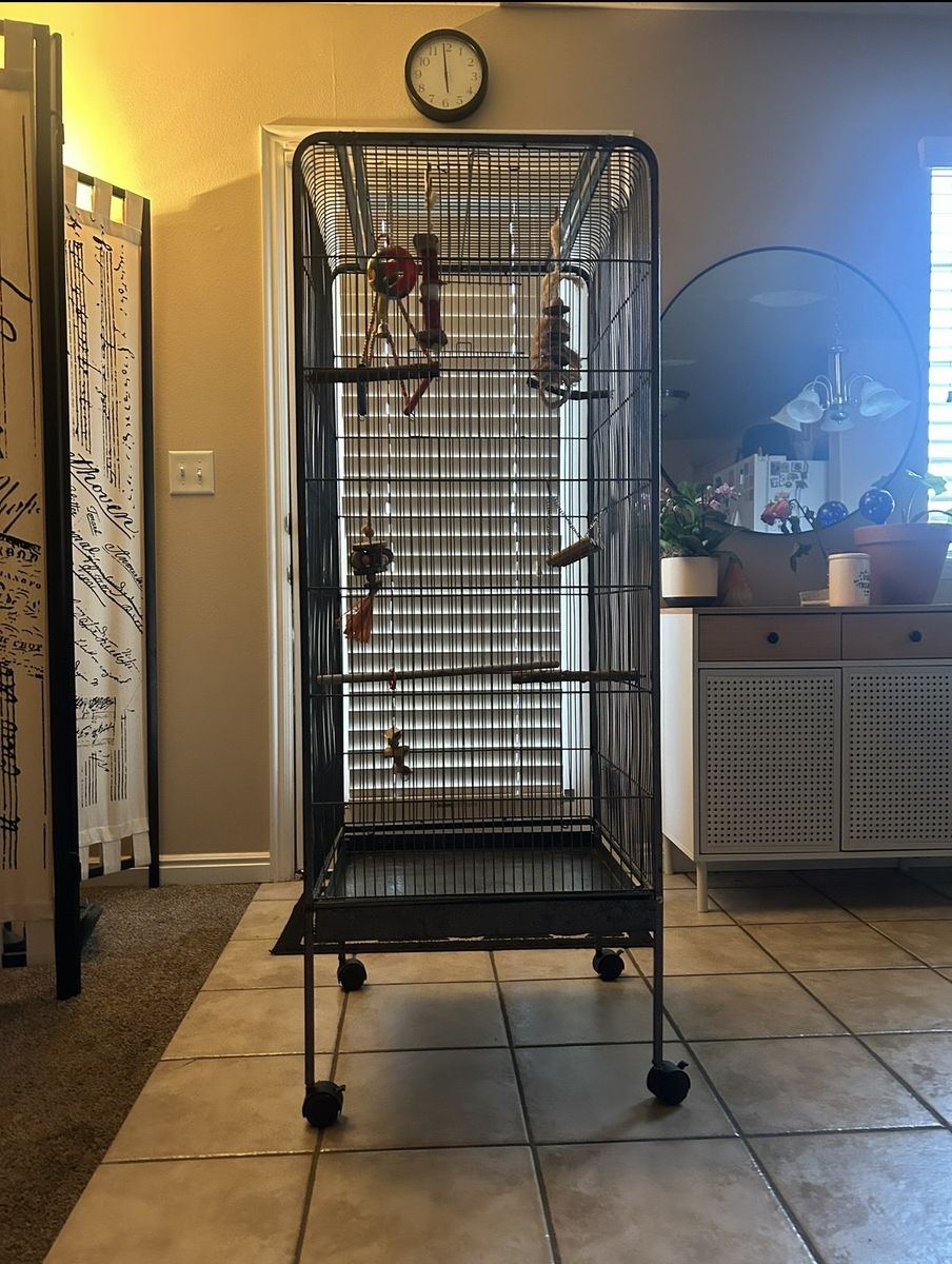 Large Black Rolling Bird Cage with Perches & Toys - Need Gone ASAP.
