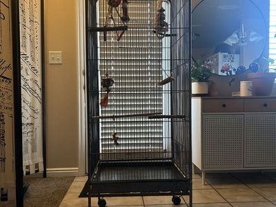 Large Black Rolling Bird Cage with Perches & Toys - Need Gone ASAP.