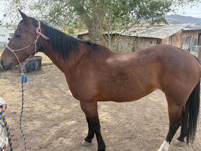 Grade Mare