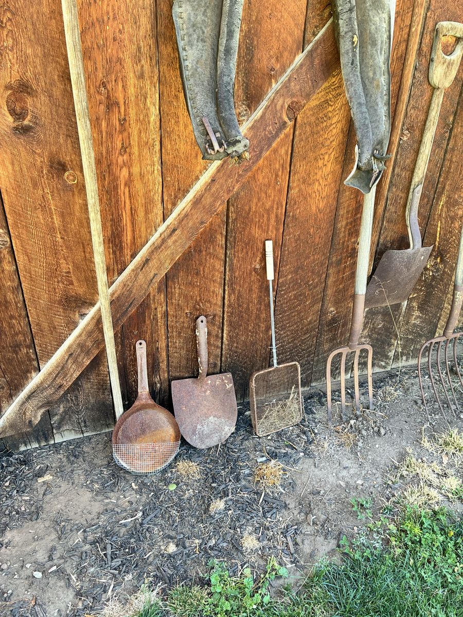 Vintage Antique Farm Tools Collection - Rakes, Shovels, Forks & Horse Collar