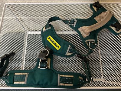XS PetSafe Easy Walk Comfort No-Pull Dog Harness, Green, Full-Body Padding Cash Only