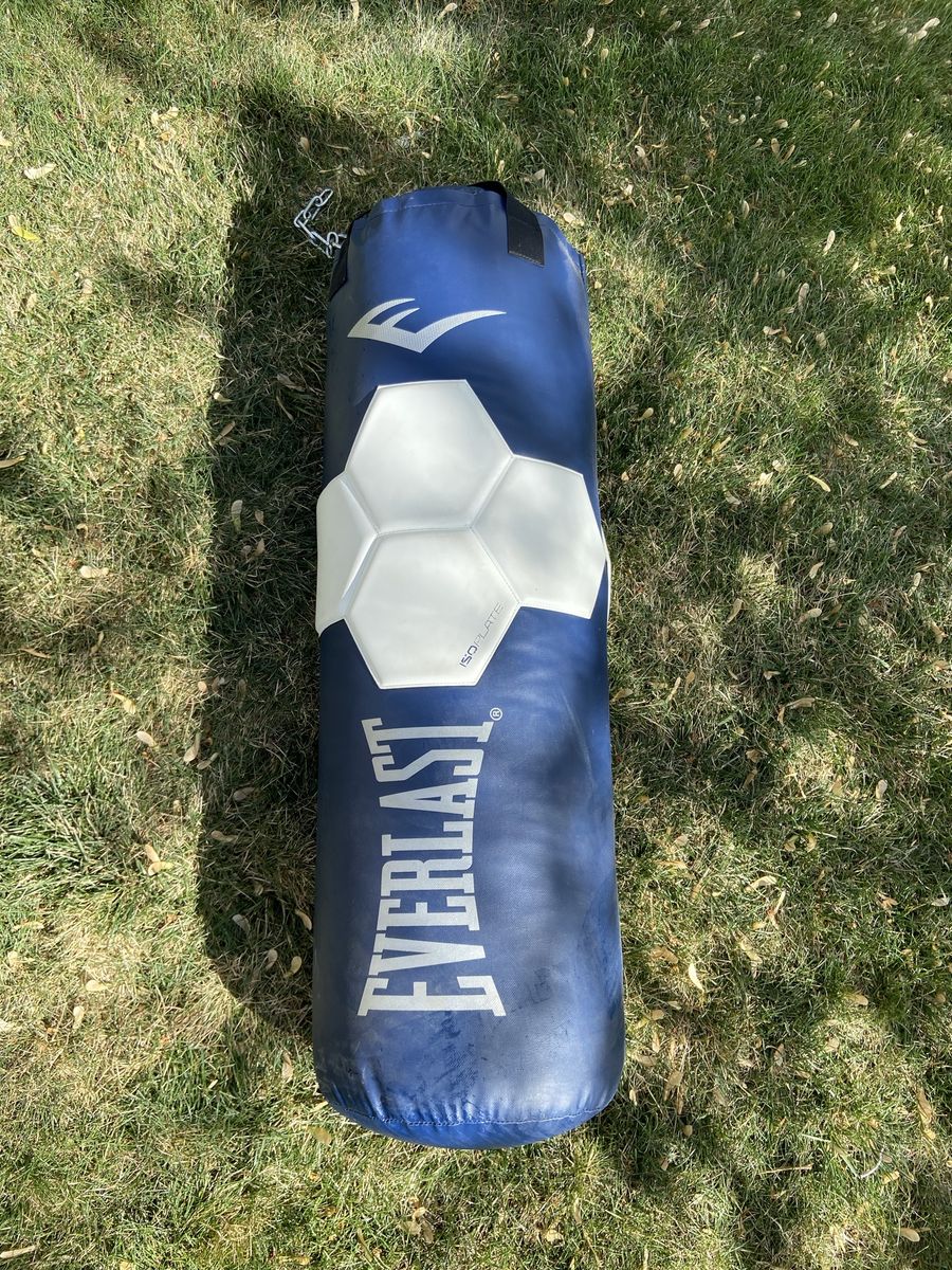 Everlast Punching Bag With Gloves