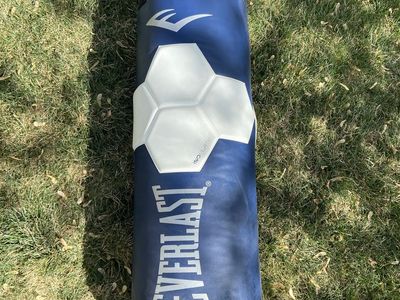 Everlast Punching Bag With Gloves