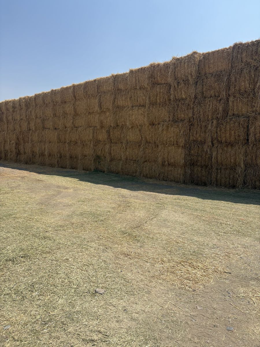 Straw 3x4