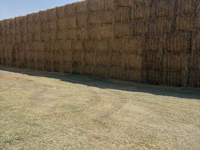 Straw 3x4