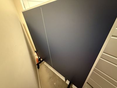 Tiga Advantage Pro Ping Pong