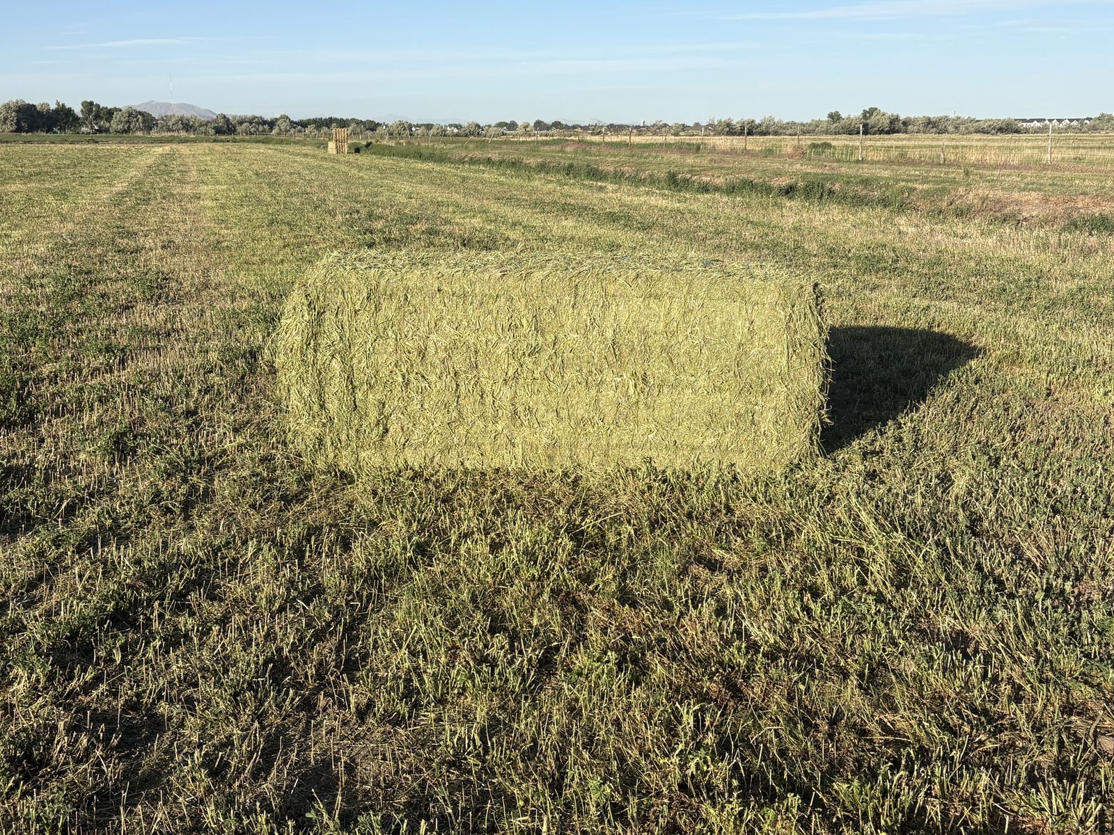 3x3x8 bales
