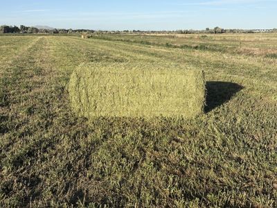 3x3x8 bales