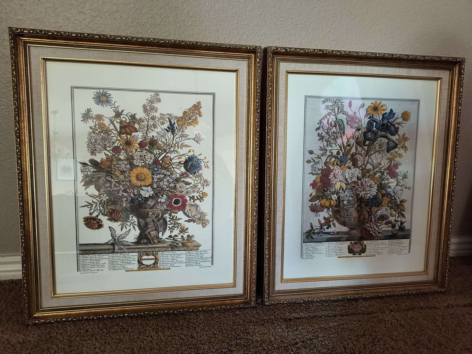 Framed Prints