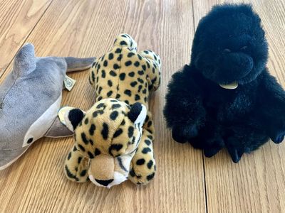Stuffed Animals