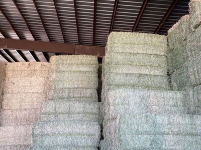 Alfalfa Hay