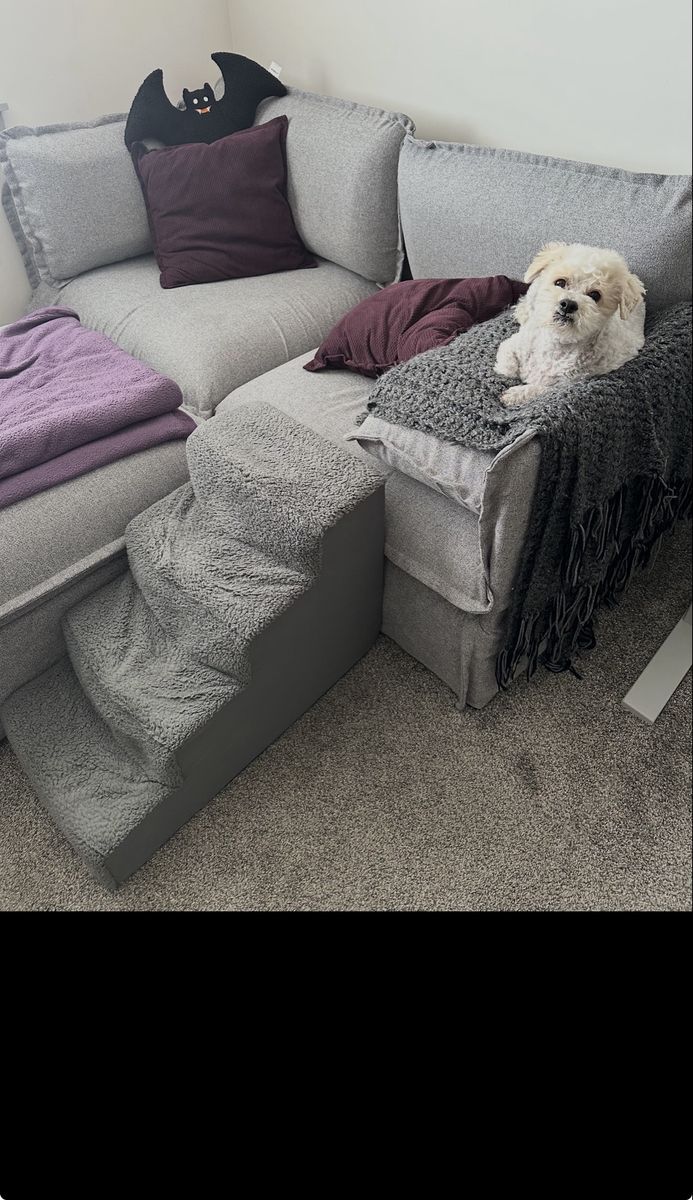 Anabei Modular Couch/Sectional