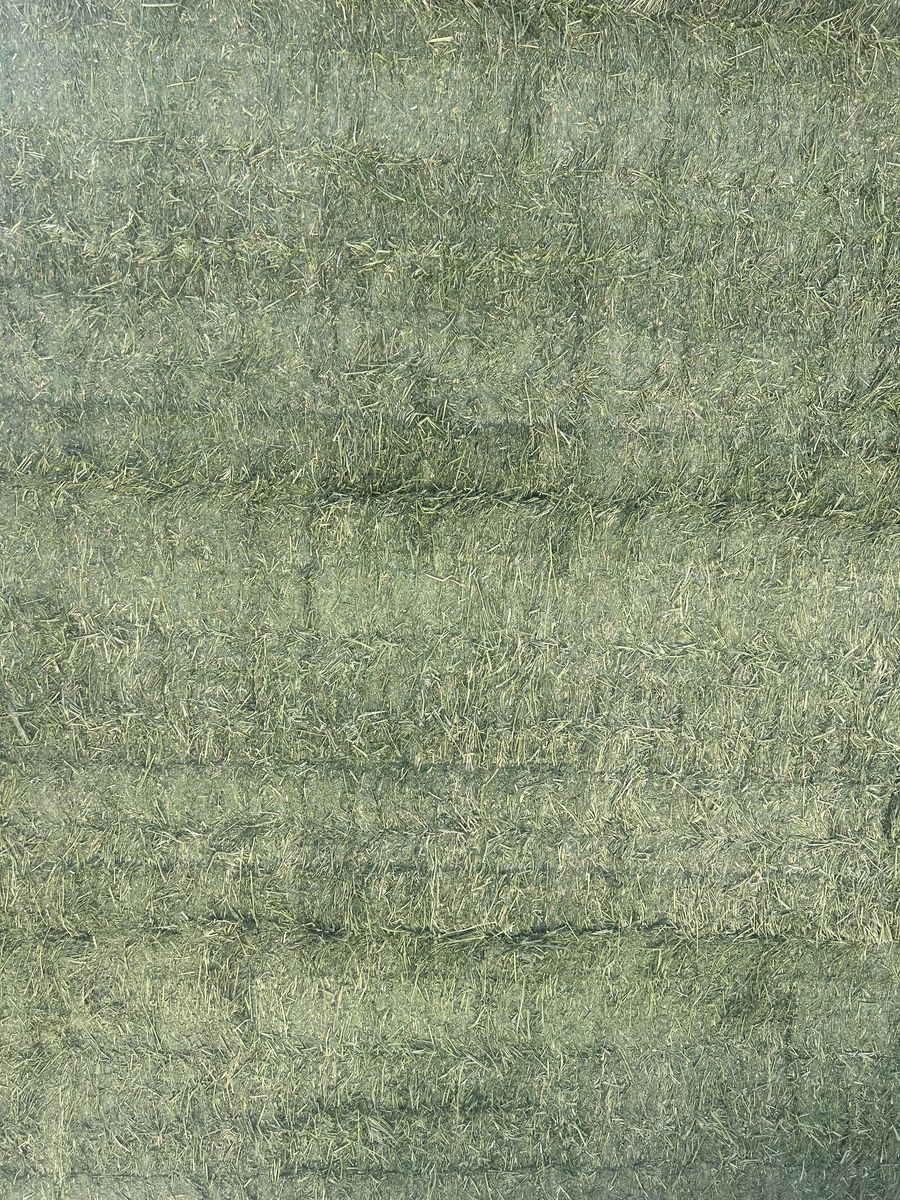 Main image 4