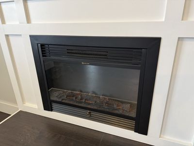 Electric Fireplace Insert With Remote