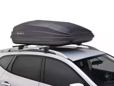 Car Top Cargo Box