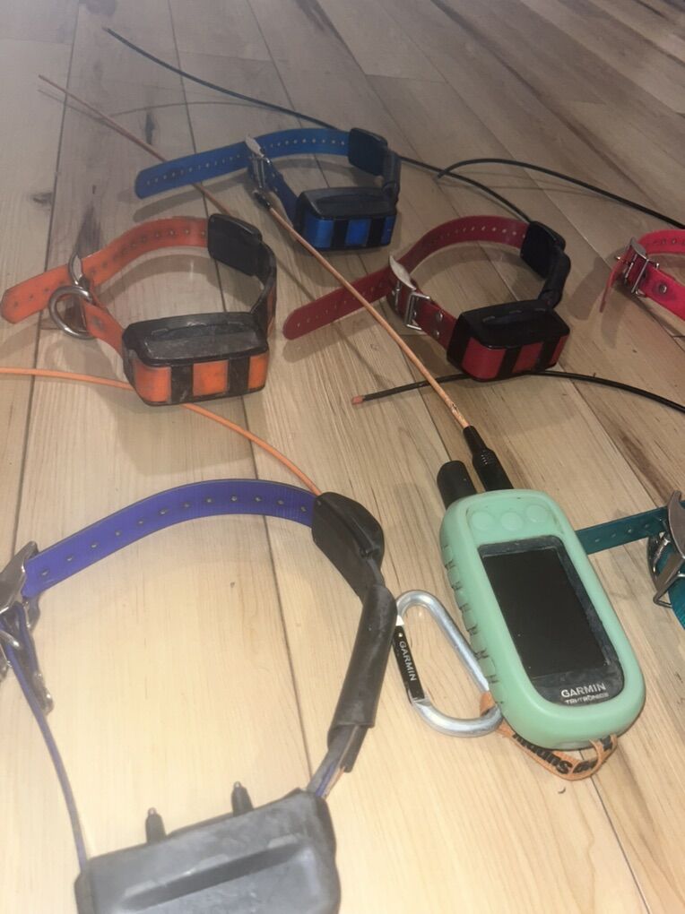 Alpha 100 And Tt15 collars