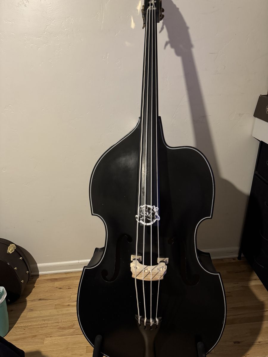 3/4 Double bass/Tololoche