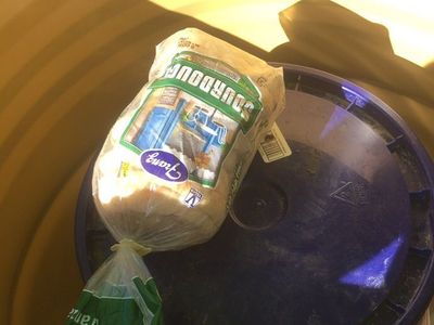 Free Bear Bait