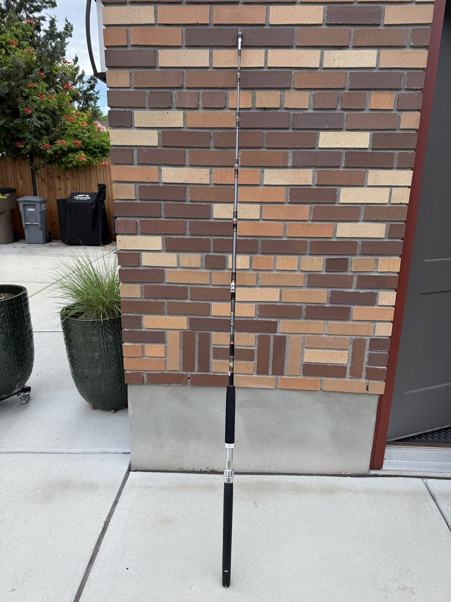 Penn Senator fishing rod