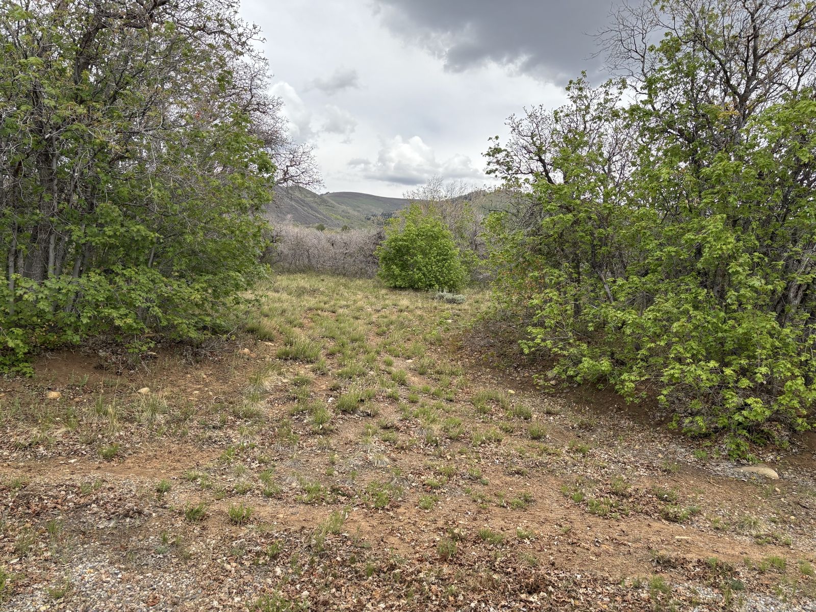 Main image 5