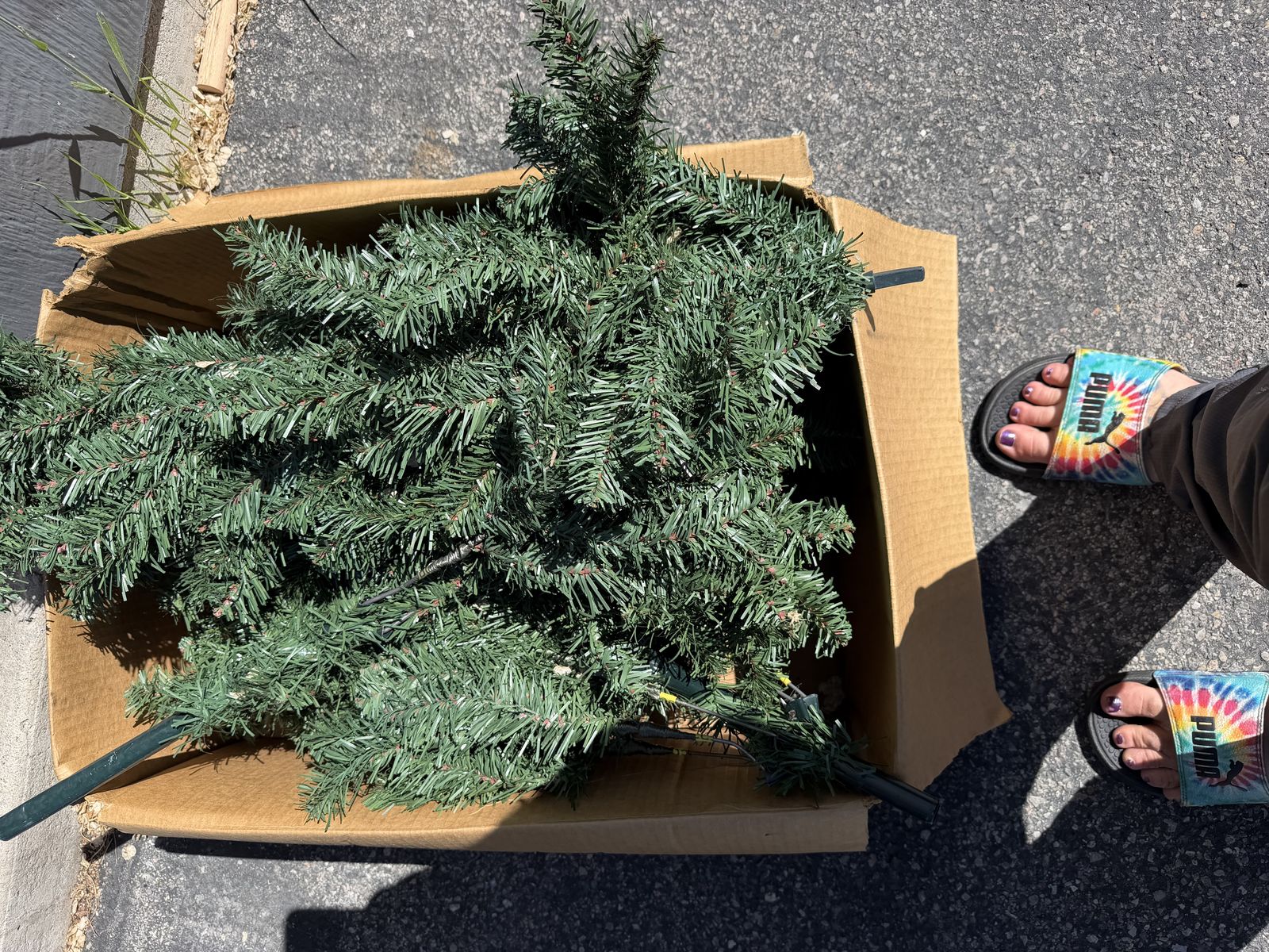 Smaller medium easy to put together tree