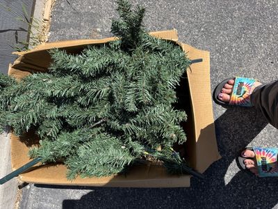 Smaller medium easy to put together tree