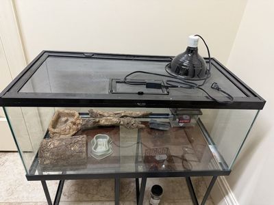 Large/Medium Reptile Tank