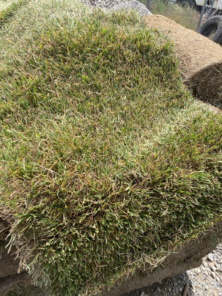 Sod For Sale- Bulk Or Per Roll