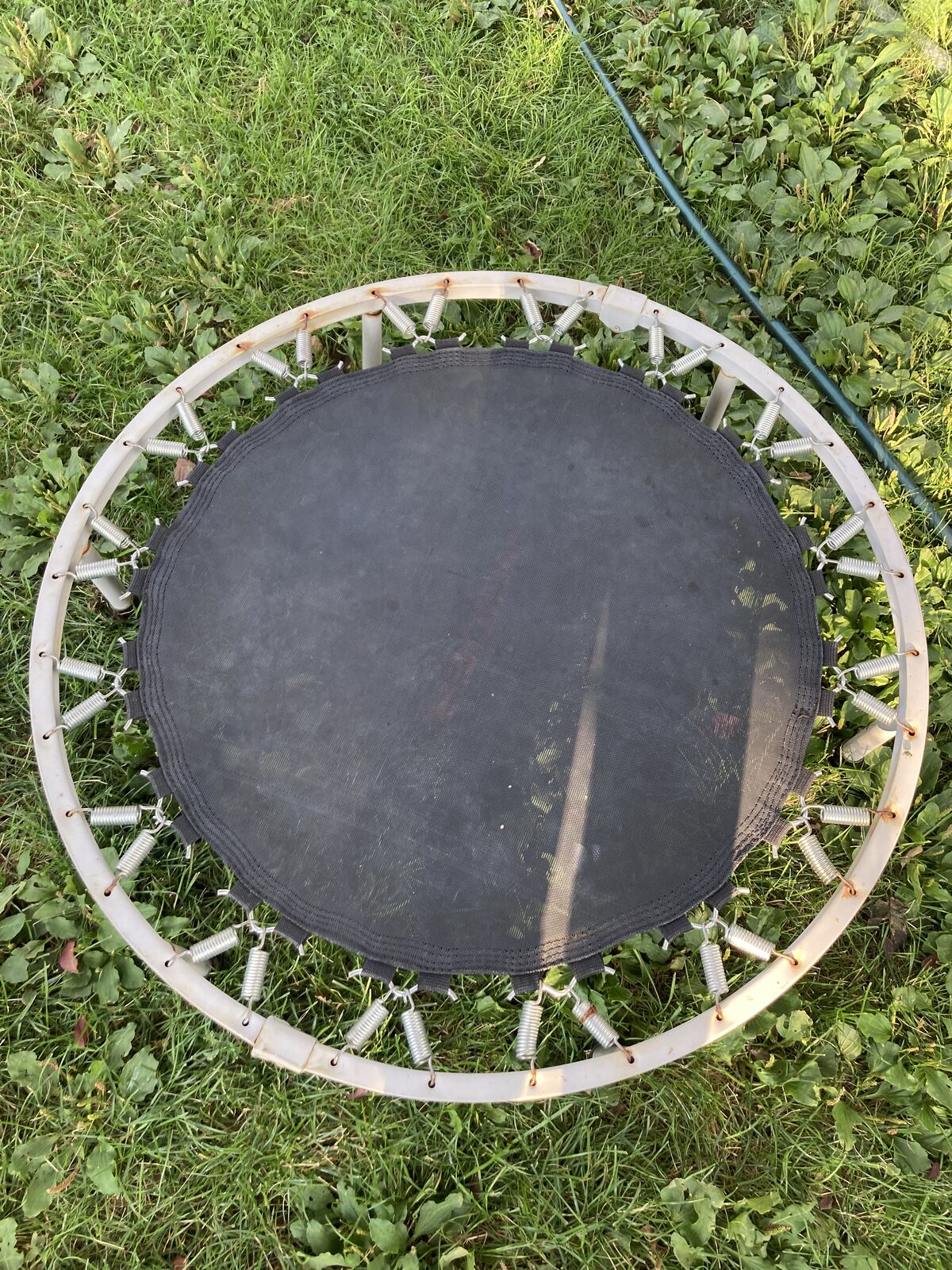 Exercise Trampoline